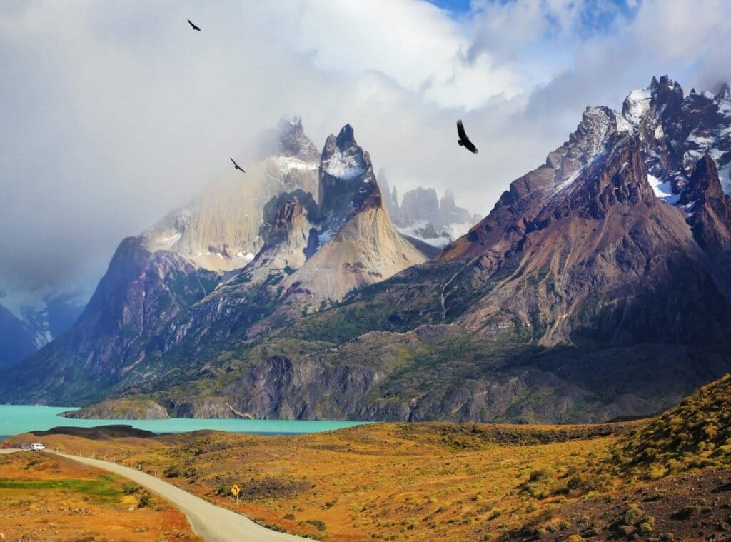 Could the sight of soaring condors become a thing of the past? © Kavram / Shutterstock