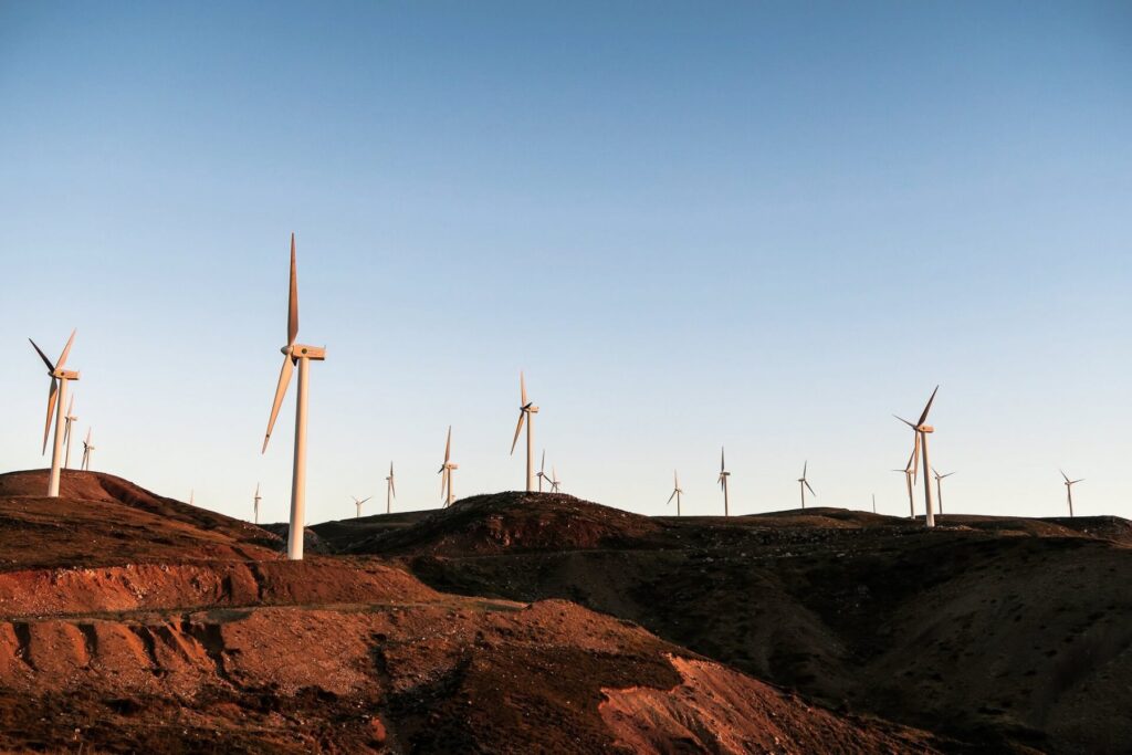 BirdLife's Sensitivity Mapping Tool ensures wind farms are not built on migration routes © unsplash